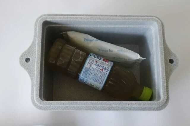 ダイソー 発泡クーラーBOX（4.8L、グレーカラー）