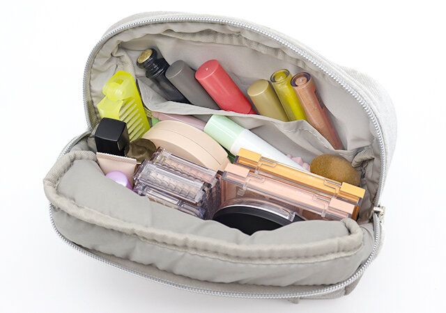 大人にぴったりなミッキー＆ミニーの付録 実用例