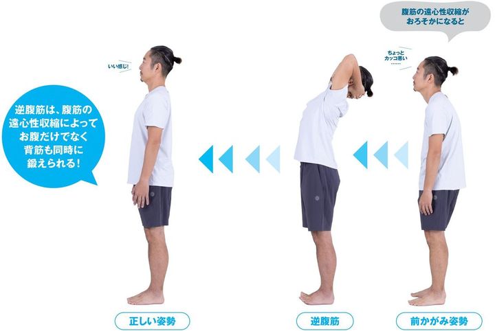 【図解】伸ばして鍛える逆腹筋