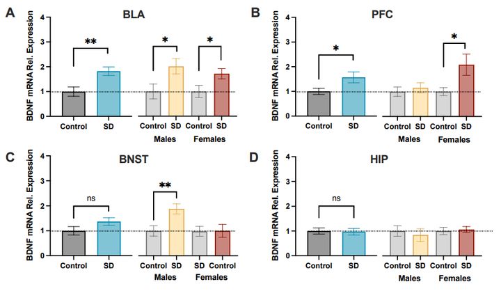 睡眠障害は恐怖記憶を忘れやすくする効果もあった