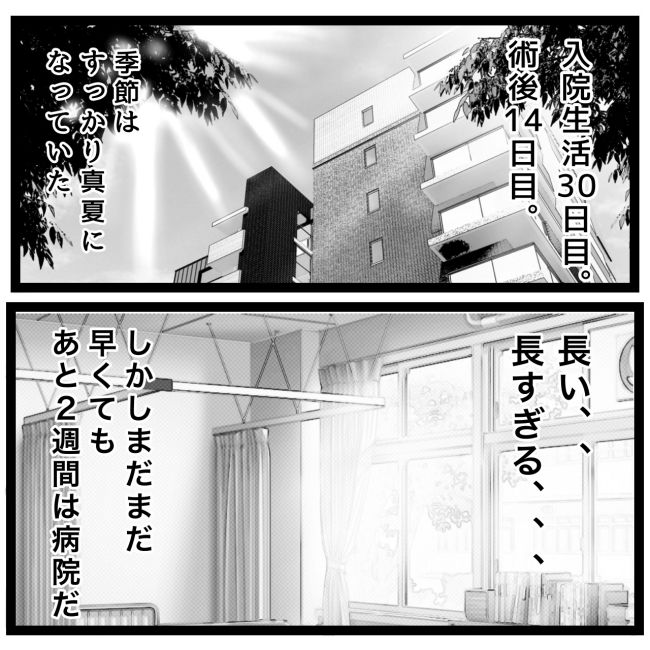 息子が突然歩けなくなりまして 10