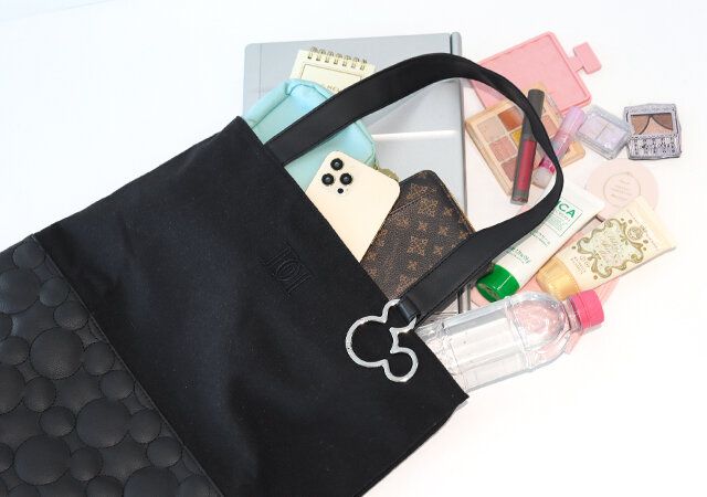 ディズニーダーリッチ黒トートバッグ付録レビュー大容量