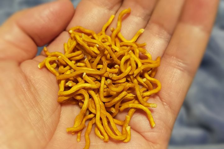 そのまま食べてももちろんおいしい※画像はイメージ