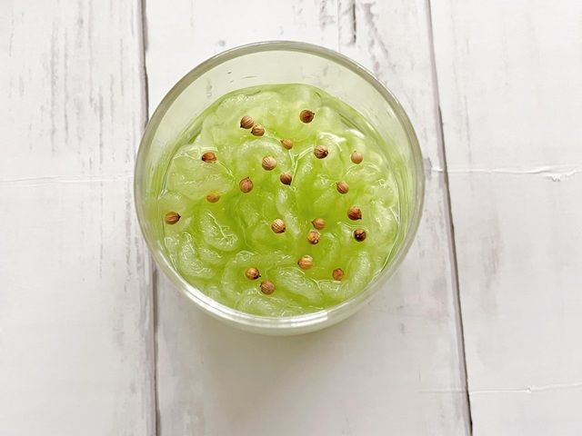 ダイソー プリムレア 栽培方法 種を並べる