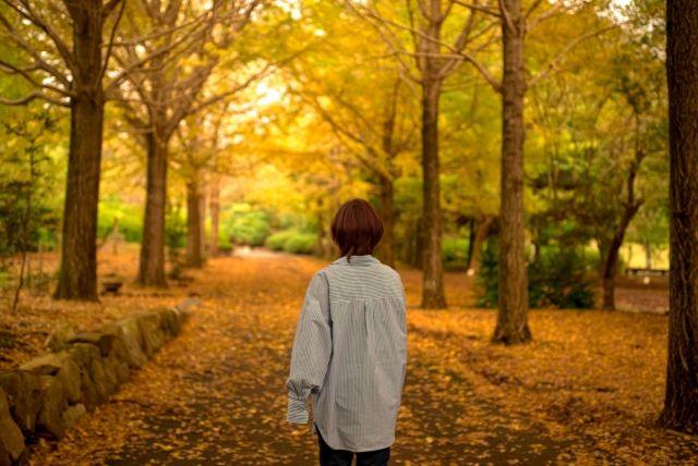 秋の銀杏並木を歩く女性の後ろ姿 季節感