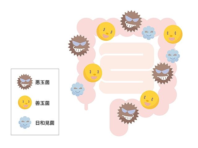 腸内フローラ 説明