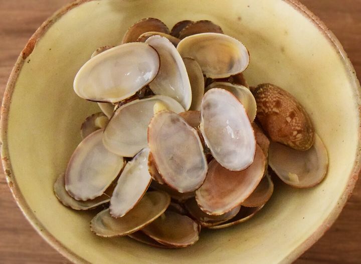 丸亀製麺「山盛りあさりうどん（並盛）」