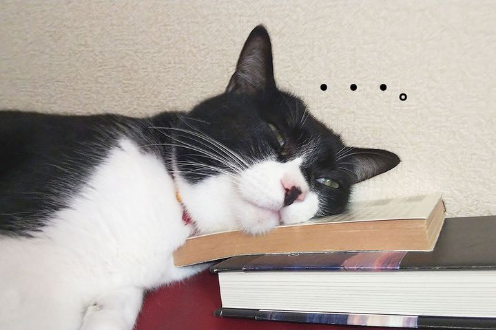 大人になって役立った科目はありますか？