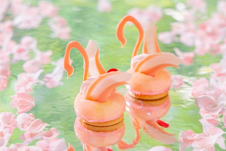 「桜とチェリーのスワンムース」