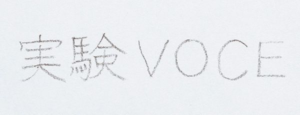 繊細で淡い発色のせいか、かすれが。太くするなら重ねていこう