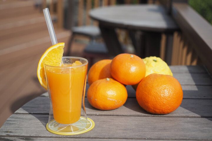 みかん畑を見渡すオーシャンビューの絶景カフェを併設♪ 東伊豆の収穫体験農園「ふたつぼり」