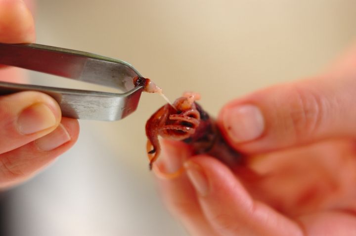 ホタルイカと新玉ネギのマリネの下準備1