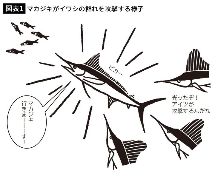 【図表1】マカジキがイワシの群れを攻撃する様子
