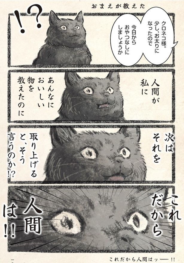 クロネコ様、今日からダイエット開始！ おやつなし宣言にネコ様の圧が 