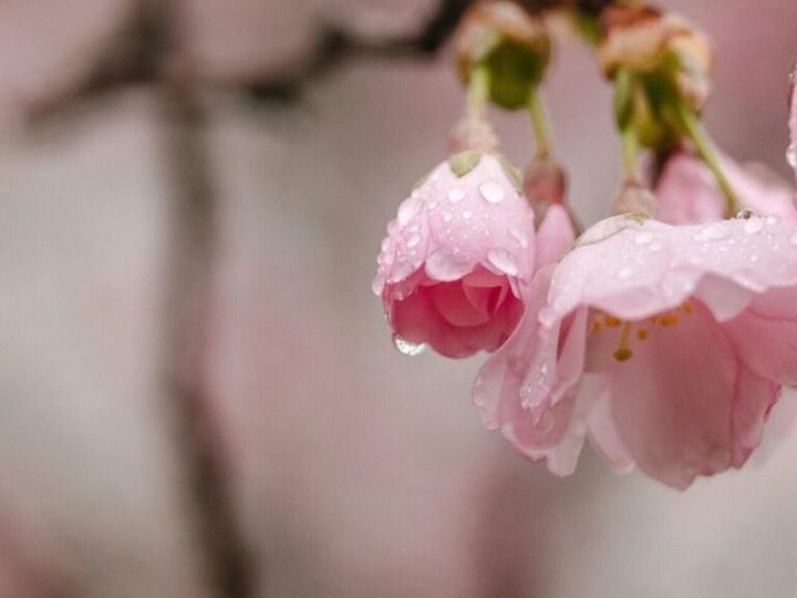 【60代ヘルスケア】寒暖差疲労とは？