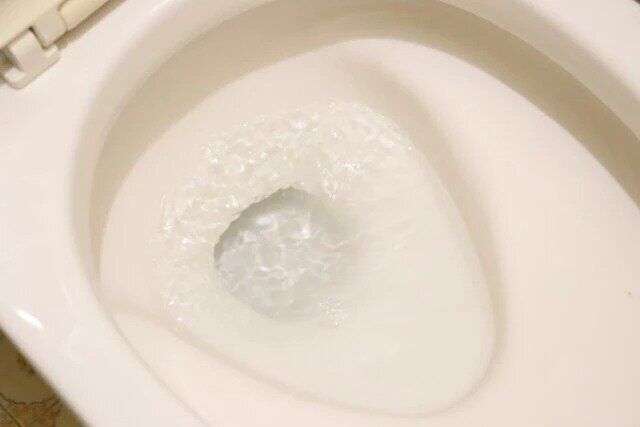 ダイソー トイレ掃除 換気