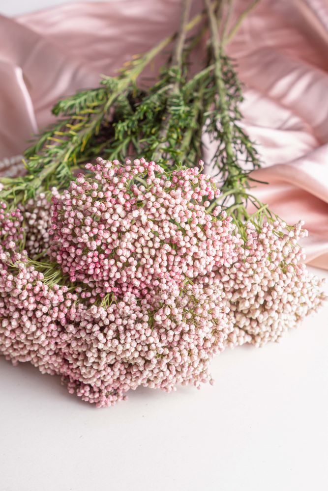 ライスフラワー