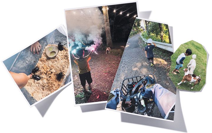 東京の郊外に移住して自然と遊ぶ日々を送る家族の思い出写真