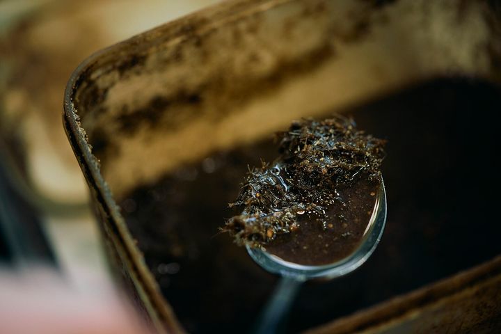 アンチョビペースト