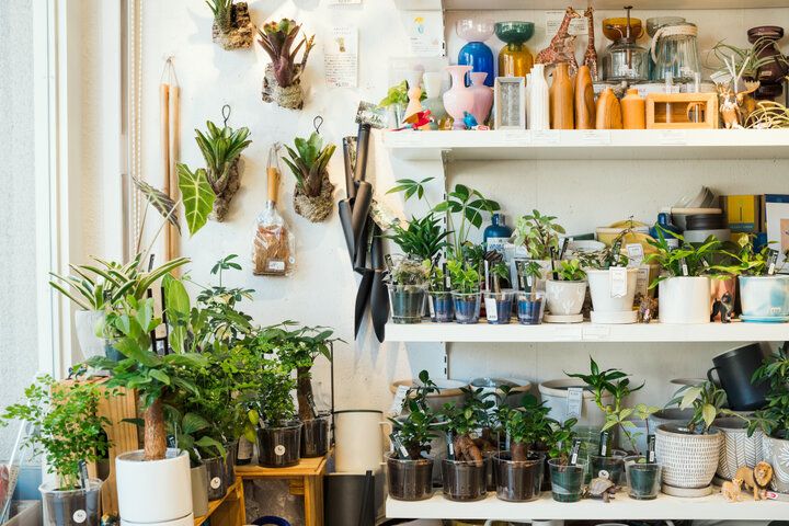 キッチン雑貨や観葉植物も♪お気に入りに出会える雑貨店／用賀「isetta」