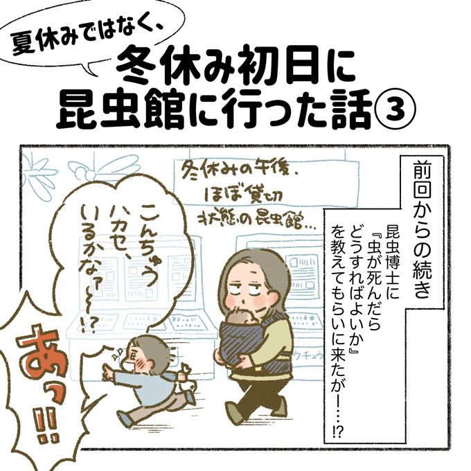 昆虫博士に出会って大興奮！ 天寿を全うしたクワガタの埋葬方法を教えてもらうはずが……【まいにちてんてこまい・21】の画像1