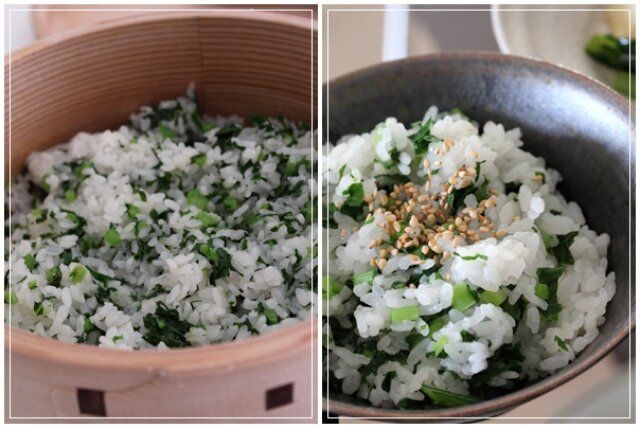 大根葉の菜飯