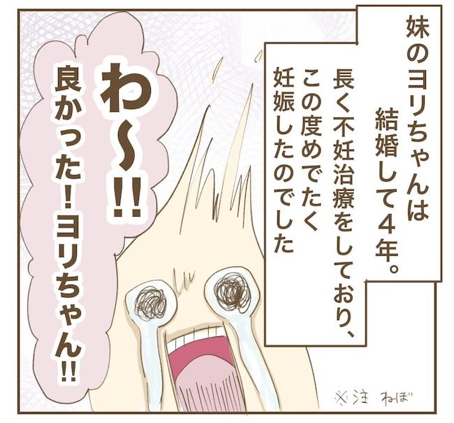 里帰り出産したら実姉がしんどかった件_6話