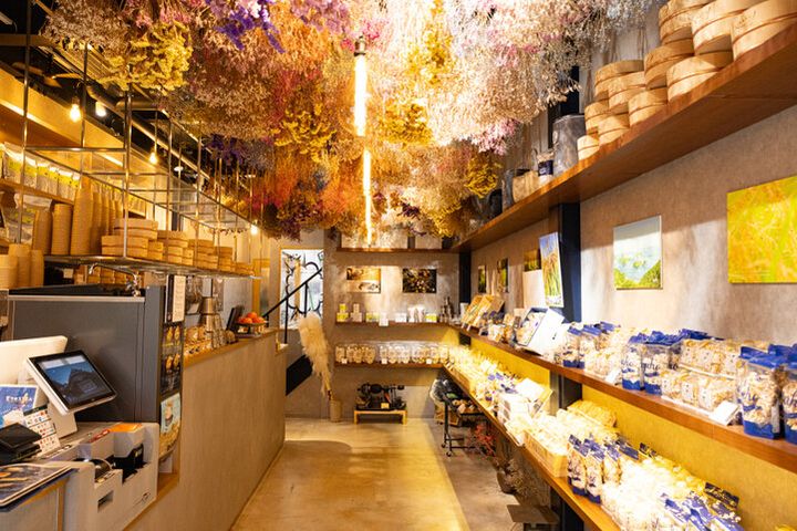 愛媛・道後温泉のお楽しみ♪「道後ハイカラ通り」で食べたい湯上がりスイーツ6選