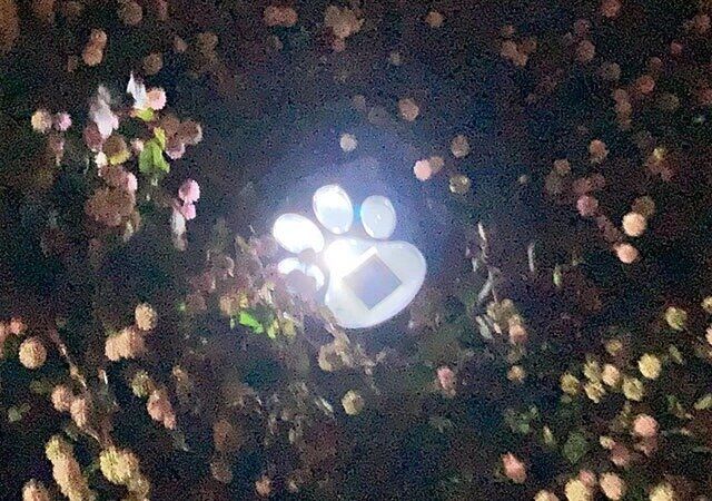 ダイソー ガーデン ライトアップ