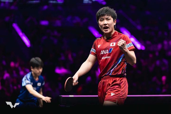 張本智和（C）WTT