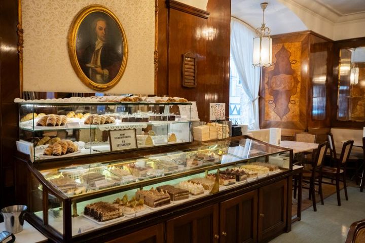 ケーキのショーケース