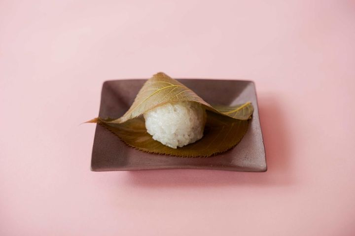 桜葉餅 1個 249円（税込）/鈴懸