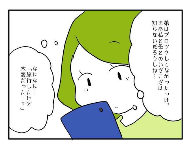 実家といろいろこじれてます29-2