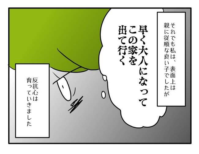 実家といろいろこじれてます3-4