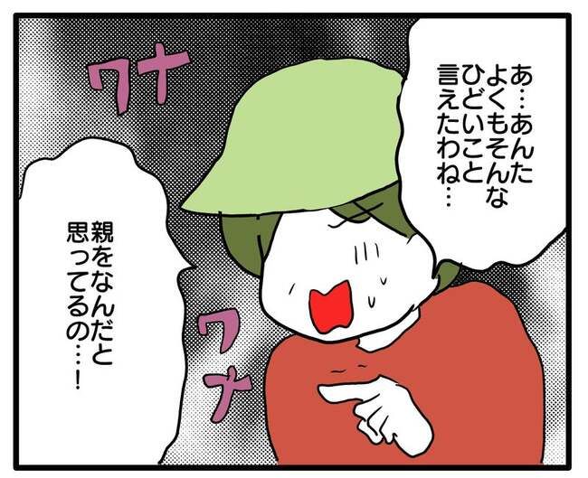 実家といろいろこじれてます28-4