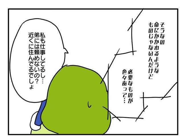 実家といろいろこじれてます15-2