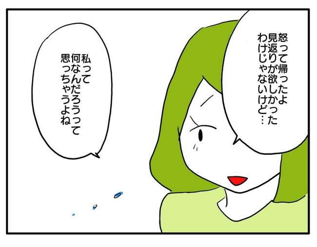 実家といろいろこじれてます28-9