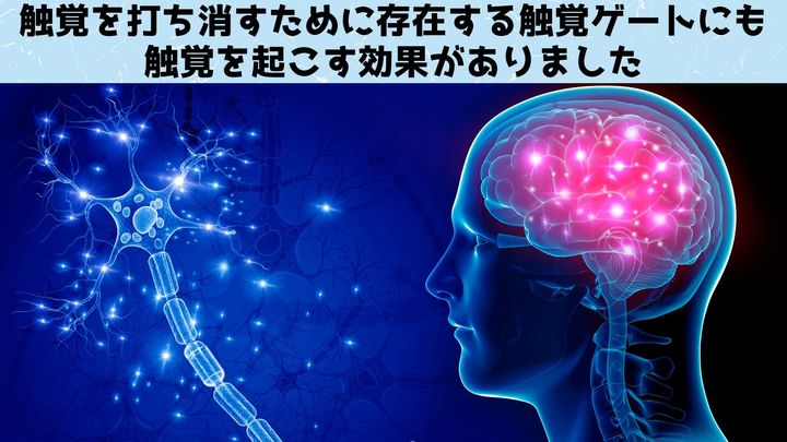 「ファントム・タッチ・イリュージョン」が発生する仕組み