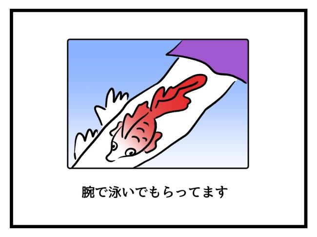 私の人生は私のモノ？！11