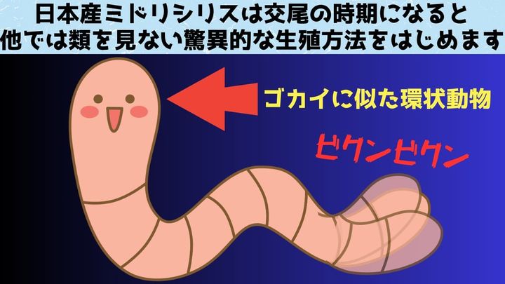 交尾の時期になると目と脳を生やして泳ぎ去る尻尾の秘密を解明