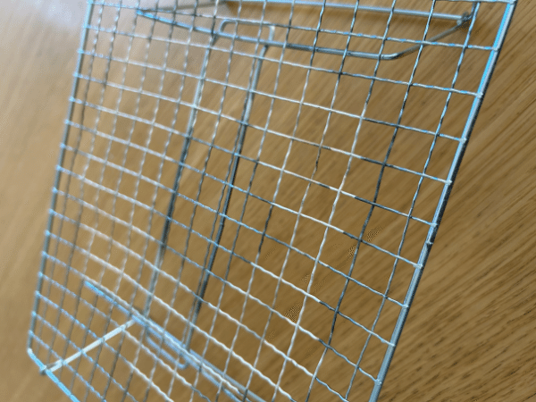 「買わないと損！」上級キャンパーが厳選！ダイソーで買えるコスパ最強の便利アイテム3選