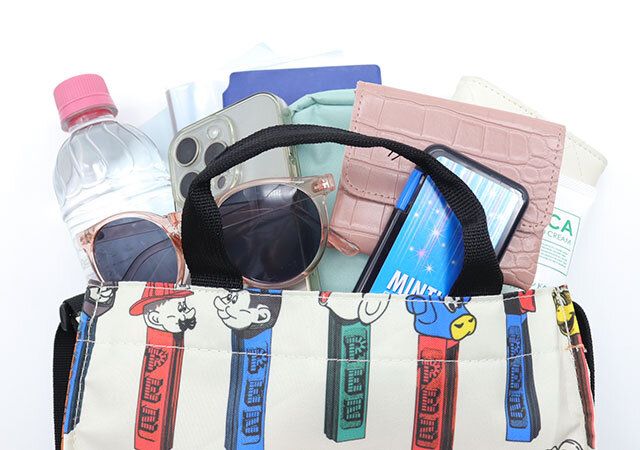 ear PAPILLONNER×PEZ［イア パピヨネ×ペッツ］整理整頓仕切り付きショルダーバッグ