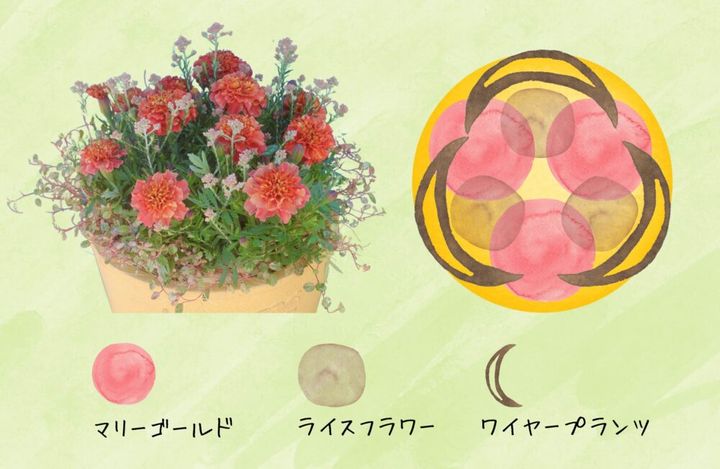 寄せ植えのポイント