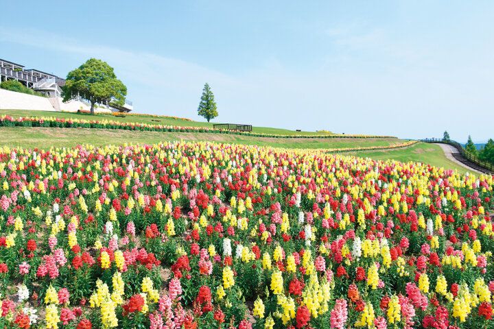 【2025年春 イヴルルド遙華の12星座占い】～3月20日は宇宙元旦♪新しい出会いやハッピーがたくさんの新しい年の幕開け～