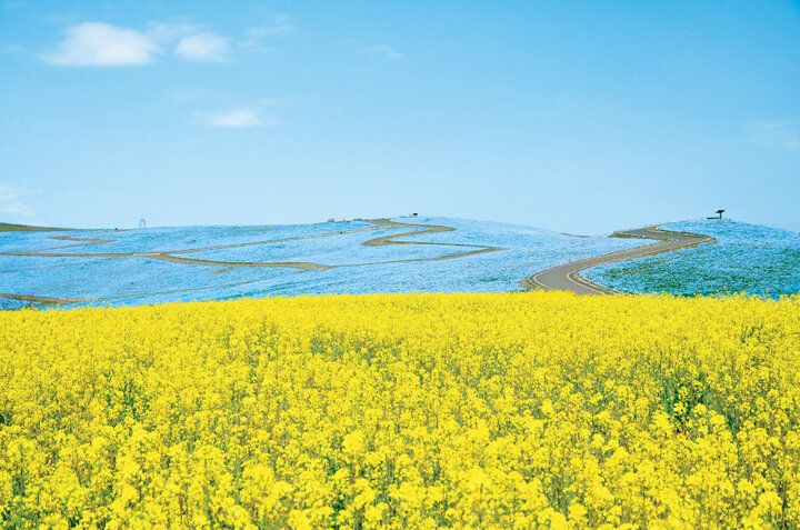 【2025年春 イヴルルド遙華の12星座占い】～3月20日は宇宙元旦♪新しい出会いやハッピーがたくさんの新しい年の幕開け～