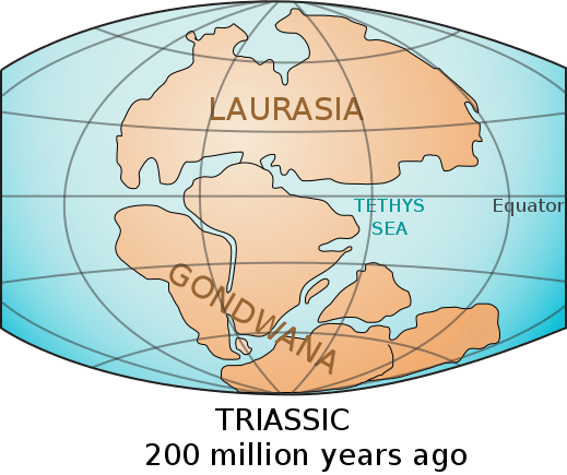 ゴンドワナ大陸（Gondwana）とローラシア大陸（Laurasia）。間に存在したのがテチス海（Tethys Sea）