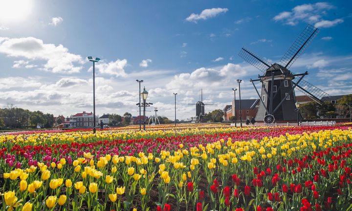 ©ハウステンボス/J-21813