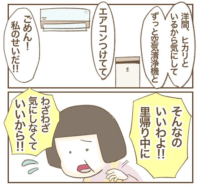 里帰り出産したら実姉がしんどかった件_10話