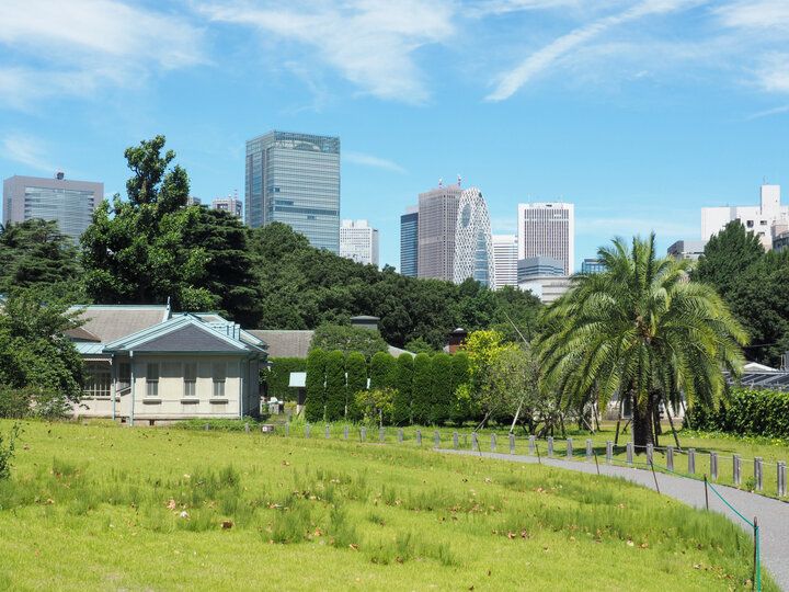高層ビルに囲まれた都会のオアシス「新宿御苑」で春を満喫♪