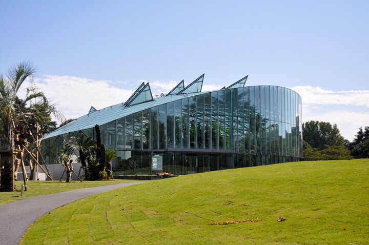 高層ビルに囲まれた都会のオアシス「新宿御苑」で春を満喫♪